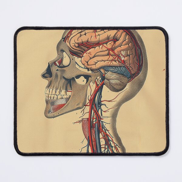 Item preview, Vintage Anatomy Art Medical Poster designed and sold by nomiraclehere.