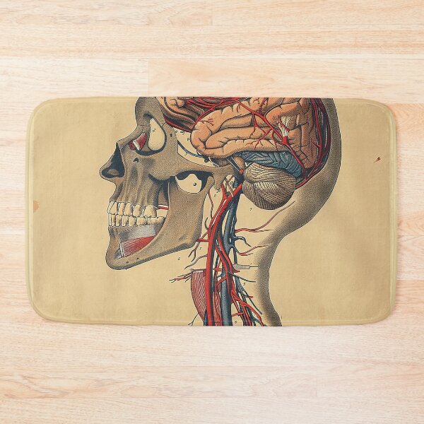 Item preview, Vintage Anatomy Art Medical Poster designed and sold by nomiraclehere.
