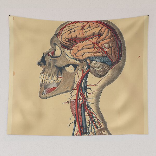 Item preview, Vintage Anatomy Art Medical Poster designed and sold by nomiraclehere.