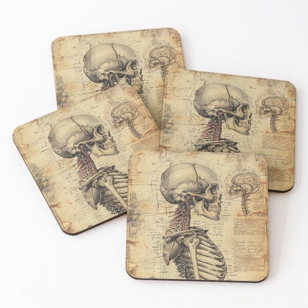 Item preview, Vintage Anatomy Art Medical Poster designed and sold by nomiraclehere.