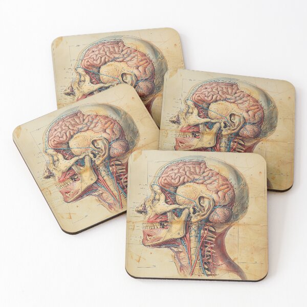 Item preview, Vintage Anatomy Art Medical Poster designed and sold by nomiraclehere.