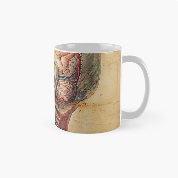 Item preview, Vintage Anatomy Art Medical Poster designed and sold by nomiraclehere.