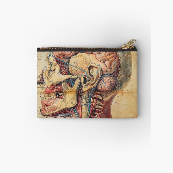 Item preview, Vintage Anatomy Art Medical Poster designed and sold by nomiraclehere.