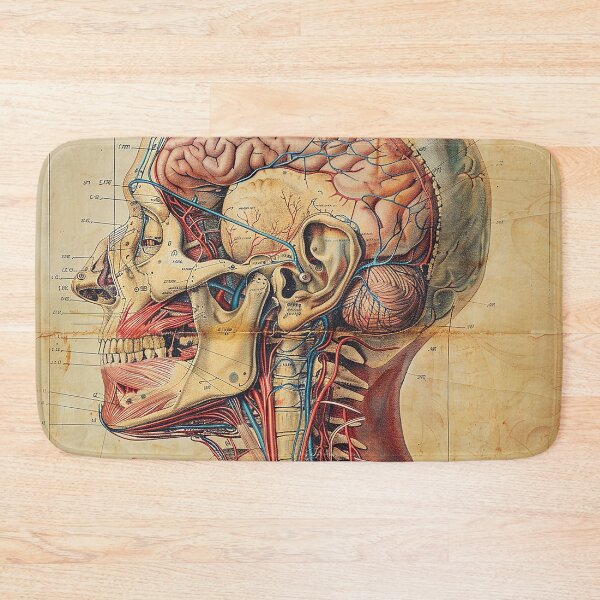 Item preview, Vintage Anatomy Art Medical Poster designed and sold by nomiraclehere.