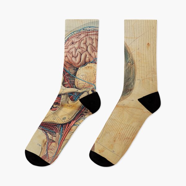 Item preview, Vintage Anatomy Art Medical Poster designed and sold by nomiraclehere.