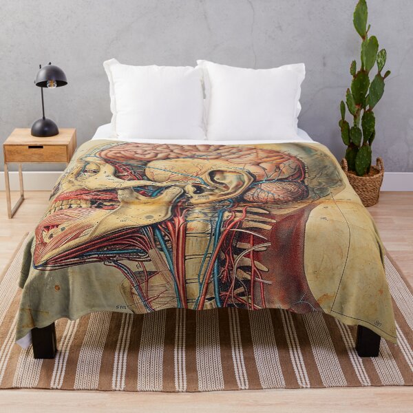 Item preview, Vintage Anatomy Art Medical Poster designed and sold by nomiraclehere.
