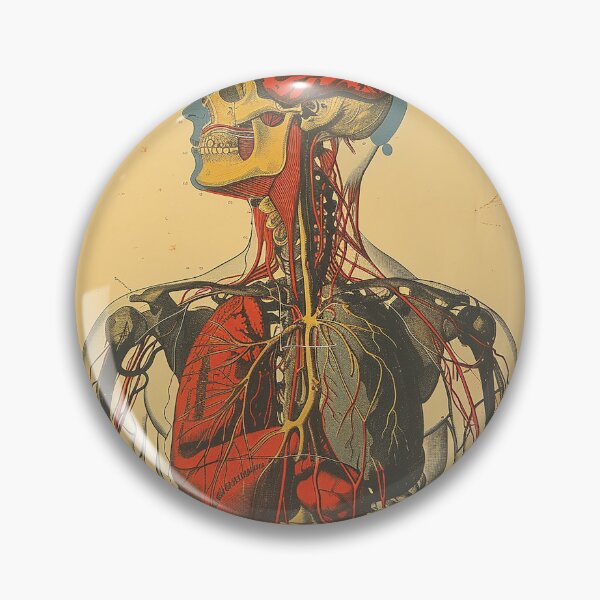 Item preview, Vintage Anatomy Art Medical Poster designed and sold by nomiraclehere.