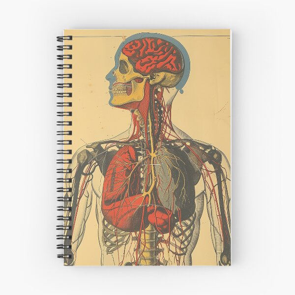Item preview, Vintage Anatomy Art Medical Poster designed and sold by nomiraclehere.