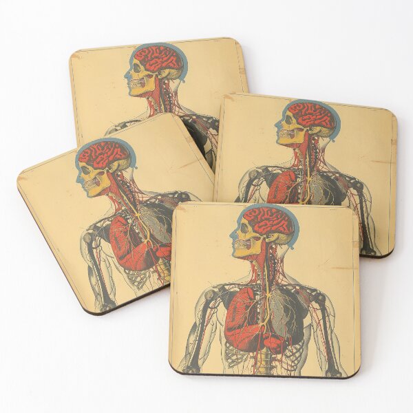 Item preview, Vintage Anatomy Art Medical Poster designed and sold by nomiraclehere.