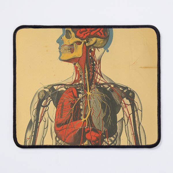 Item preview, Vintage Anatomy Art Medical Poster designed and sold by nomiraclehere.