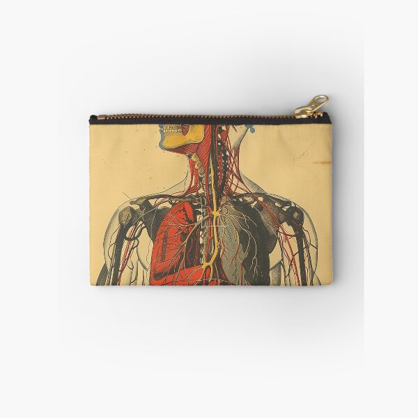 Item preview, Vintage Anatomy Art Medical Poster designed and sold by nomiraclehere.