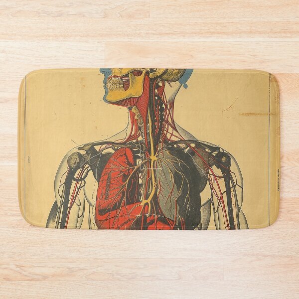 Item preview, Vintage Anatomy Art Medical Poster designed and sold by nomiraclehere.