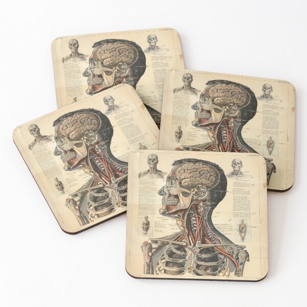 Item preview, Vintage Anatomy Art Medical Poster designed and sold by nomiraclehere.