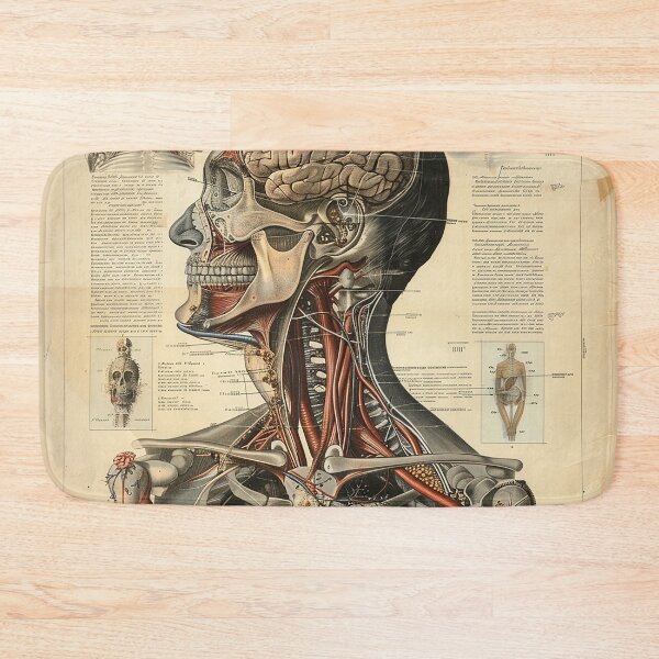 Item preview, Vintage Anatomy Art Medical Poster designed and sold by nomiraclehere.