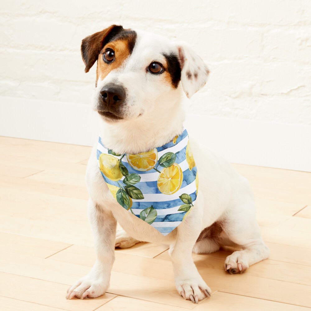 Item preview, Pet Bandana designed and sold by Vikycialp.