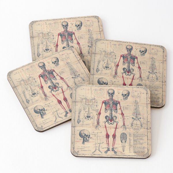 Item preview, Vintage Anatomy Art Medical Poster designed and sold by nomiraclehere.
