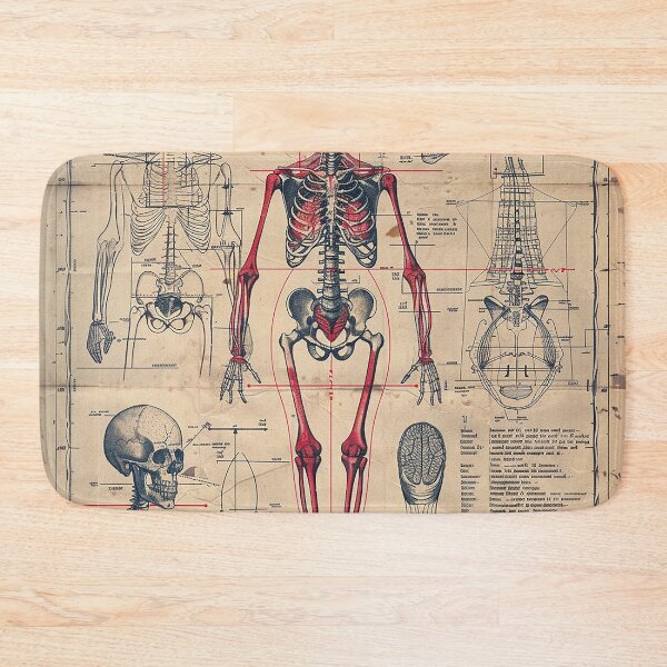 Item preview, Vintage Anatomy Art Medical Poster designed and sold by nomiraclehere.