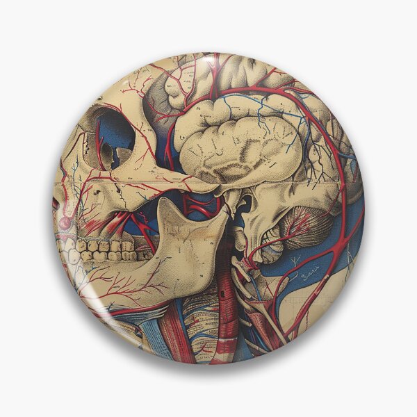 Item preview, Vintage Anatomy Art Medical Poster designed and sold by nomiraclehere.