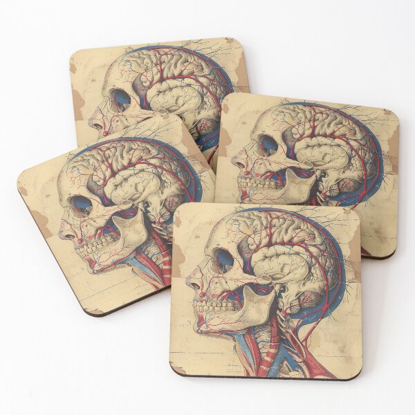 Item preview, Vintage Anatomy Art Medical Poster designed and sold by nomiraclehere.