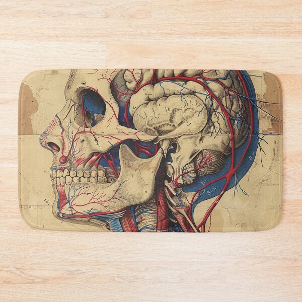 Item preview, Vintage Anatomy Art Medical Poster designed and sold by nomiraclehere.