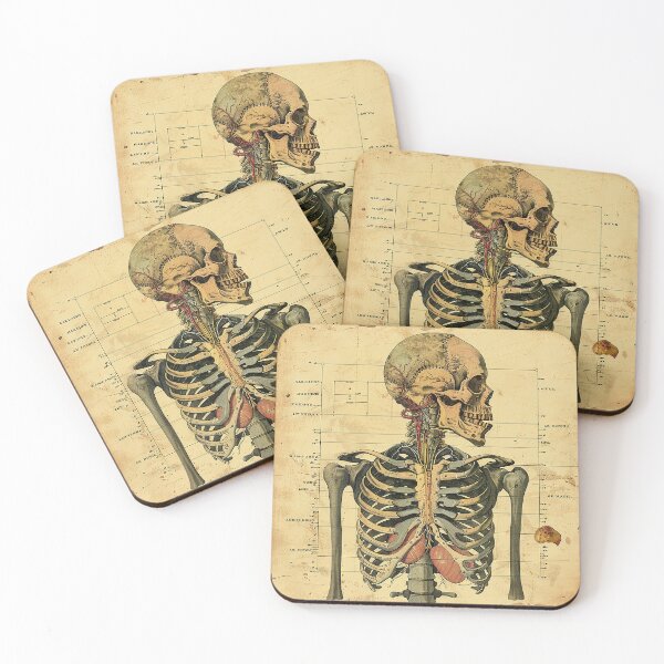 Item preview, Vintage Anatomy Art Medical Poster designed and sold by nomiraclehere.