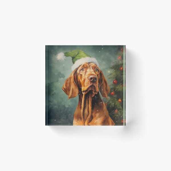 Item preview, Christmas Bracco Italiano designed and sold by Samuelsboro.