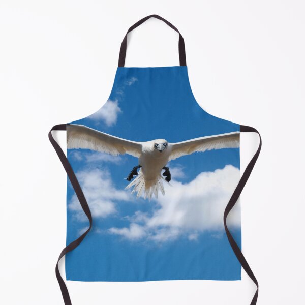 Item preview, Northern gannet designed and sold by Tom McPherson Photography.