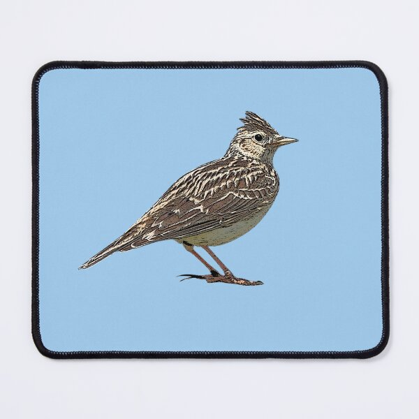 Item preview, Eurasian Skylark Color Design  designed and sold by designsasstultd.