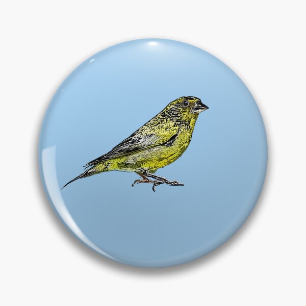 Item preview, European Greenfinch Black Alternate Design  designed and sold by designsasstultd.