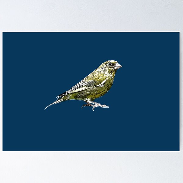 Item preview,  European Greenfinch White Alternate Design  designed and sold by designsasstultd.