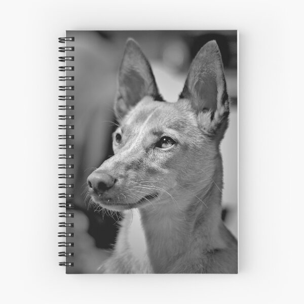 Item preview, Portrait of a dog designed and sold by Vanja Rosenthal.