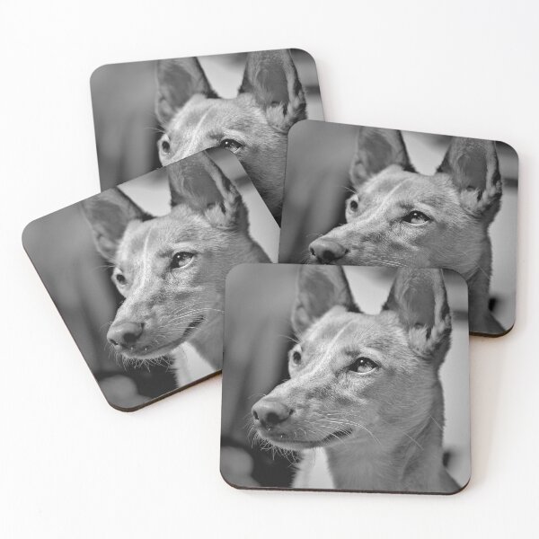 Item preview, Portrait of a dog designed and sold by Vanja Rosenthal.