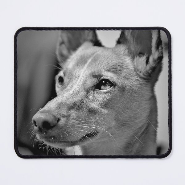 Item preview, Portrait of a dog designed and sold by Vanja Rosenthal.