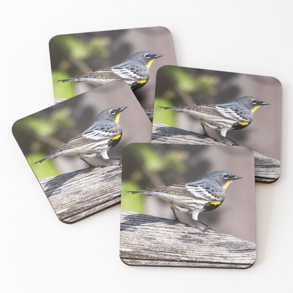 Item preview, Yellow-rumped Warbler designed and sold by CarolM.