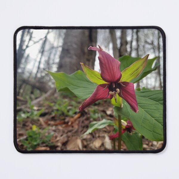 Item preview, Red Trillium designed and sold by AzulIrisium.