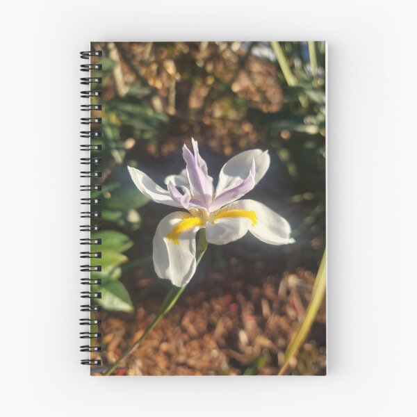Item preview, White Iris designed and sold by AzulIrisium.