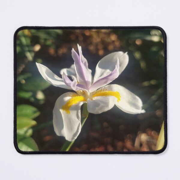 Item preview, White Iris designed and sold by AzulIrisium.