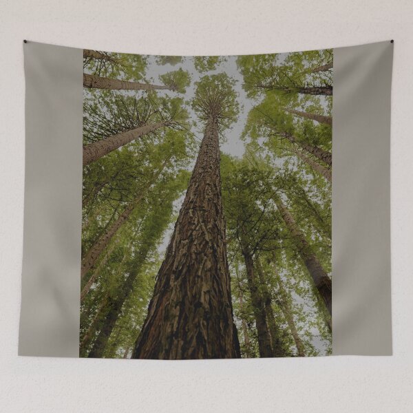 Item preview, Reaching Dizzy Heights in Beech Forest designed and sold by imaginethis.
