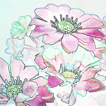 Artwork thumbnail, FLORES ROSADAS by BOLLA67