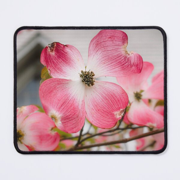Item preview, Bright And Airy designed and sold by Jim Love.