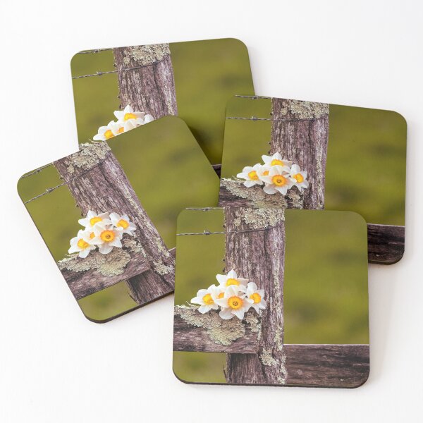 Item preview, Clustered designed and sold by Jim Love.