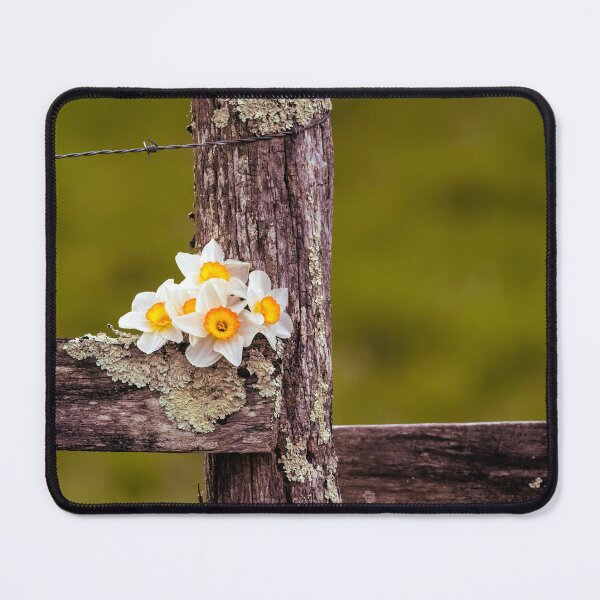 Item preview, Clustered designed and sold by Jim Love.