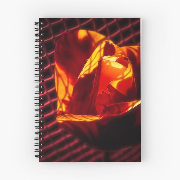 Item preview, Visual Effect designed and sold by Jim Love.