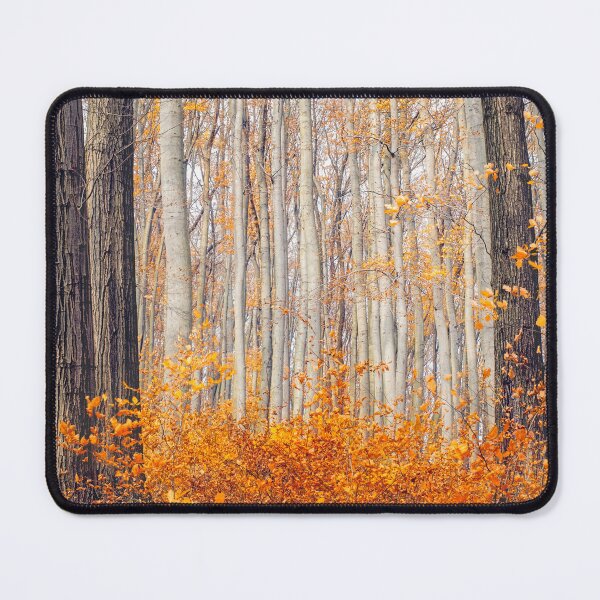 Item preview, Nature | Autumn Landscape designed and sold by EyeArt Studio.