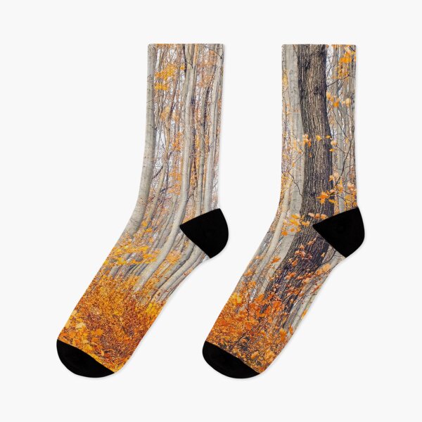 Item preview, Nature | Autumn Landscape designed and sold by EyeArt Studio.