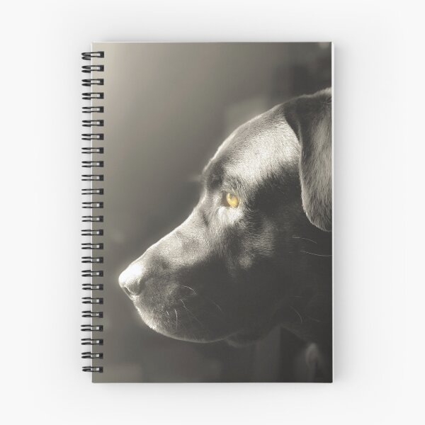 Item preview, Black Labrador Golden Eye Portrait designed and sold by Jordan Christopher.