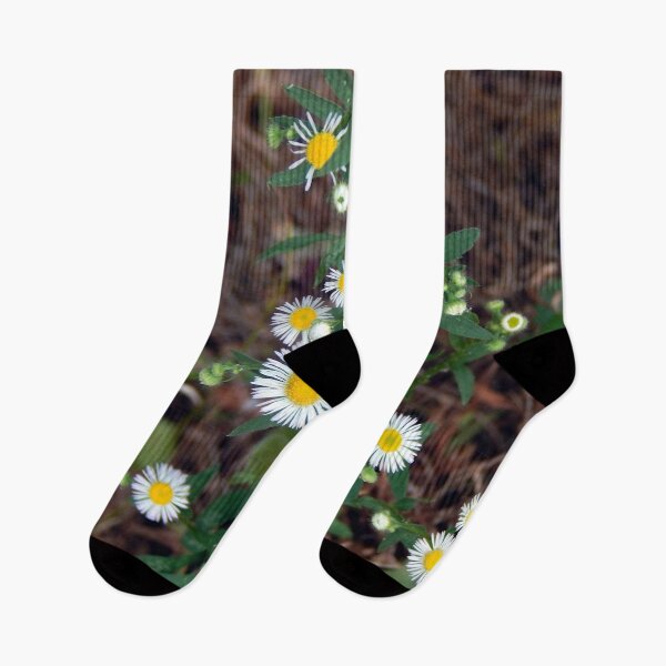 Item preview, Fleabane Cluster designed and sold by gistinker.