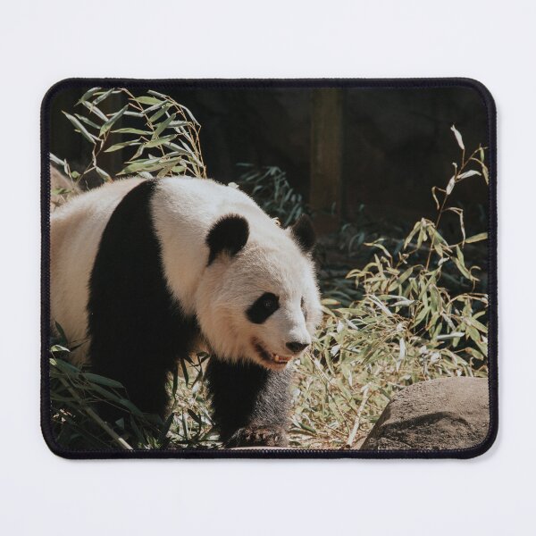 Item preview, Giant Panda designed and sold by LindsayVTravels.