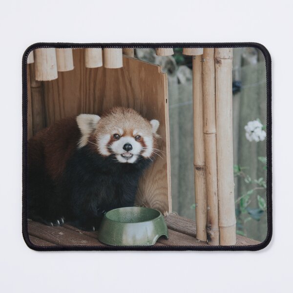 Item preview, Red Panda designed and sold by LindsayVTravels.