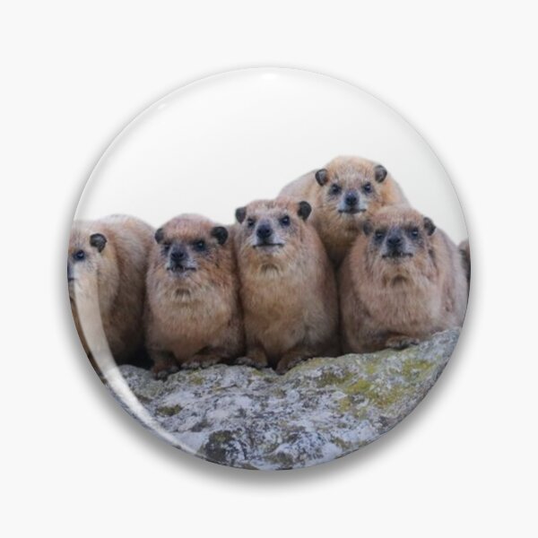 Item preview, Rock hyrax family  designed and sold by SillyLittleSnek.